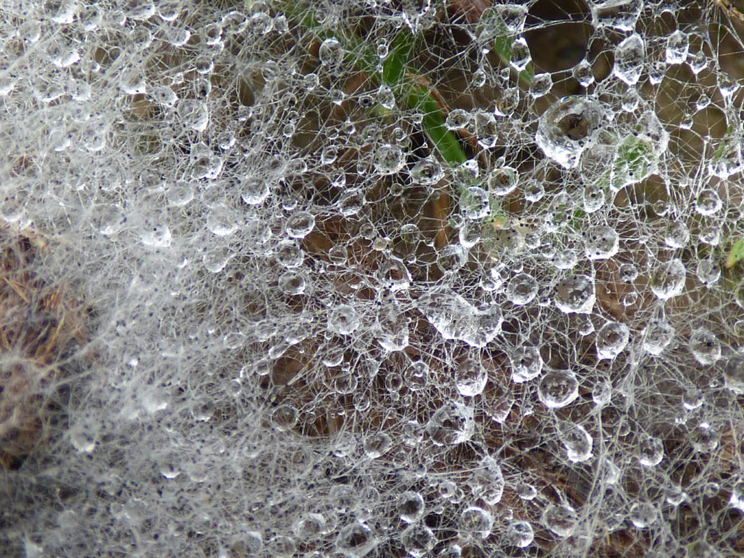 Joli voyage incongru